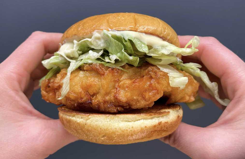 Panino con pollo, un'abitudine che non passa mai di moda