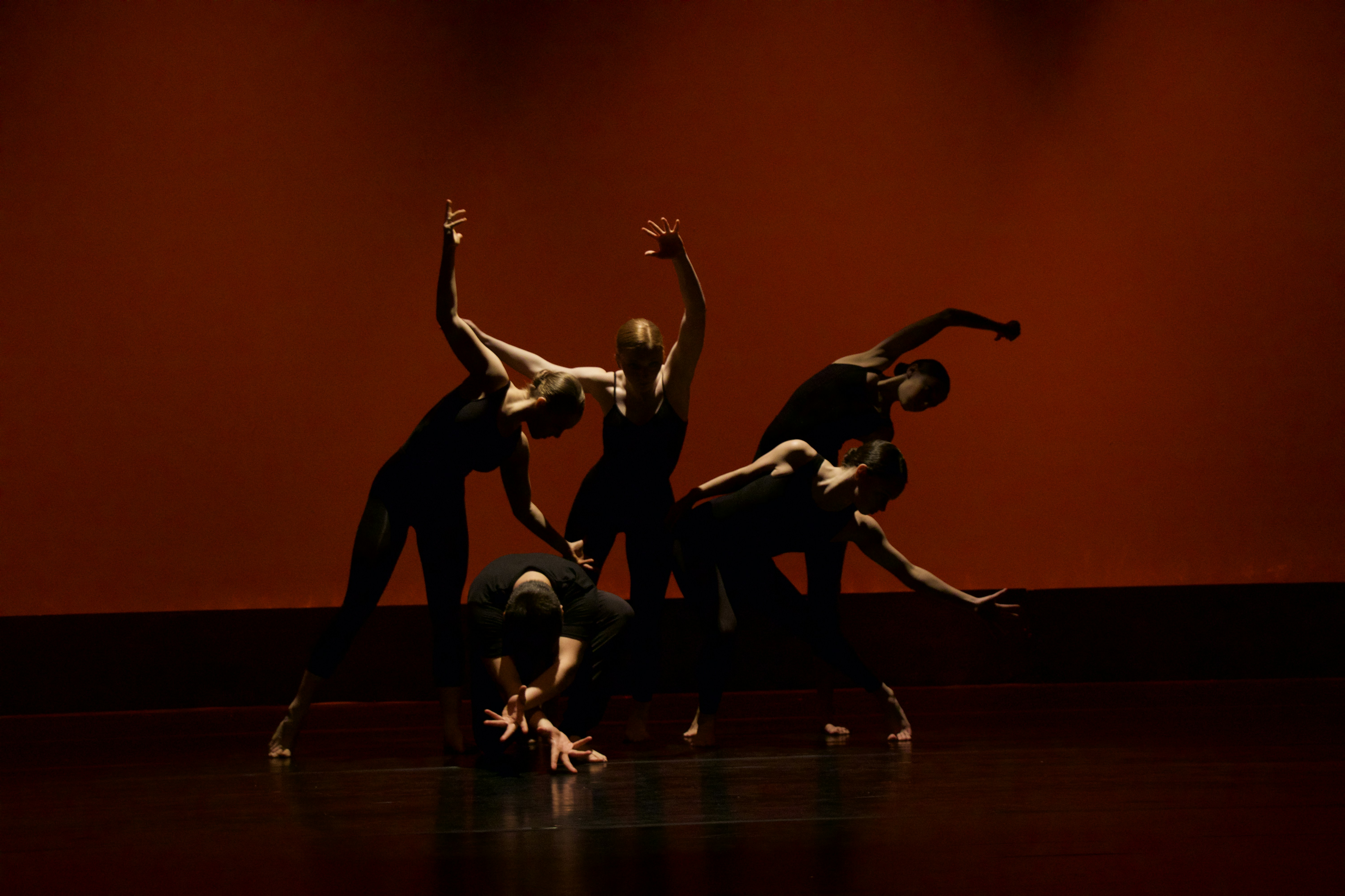 Photo by <a href=