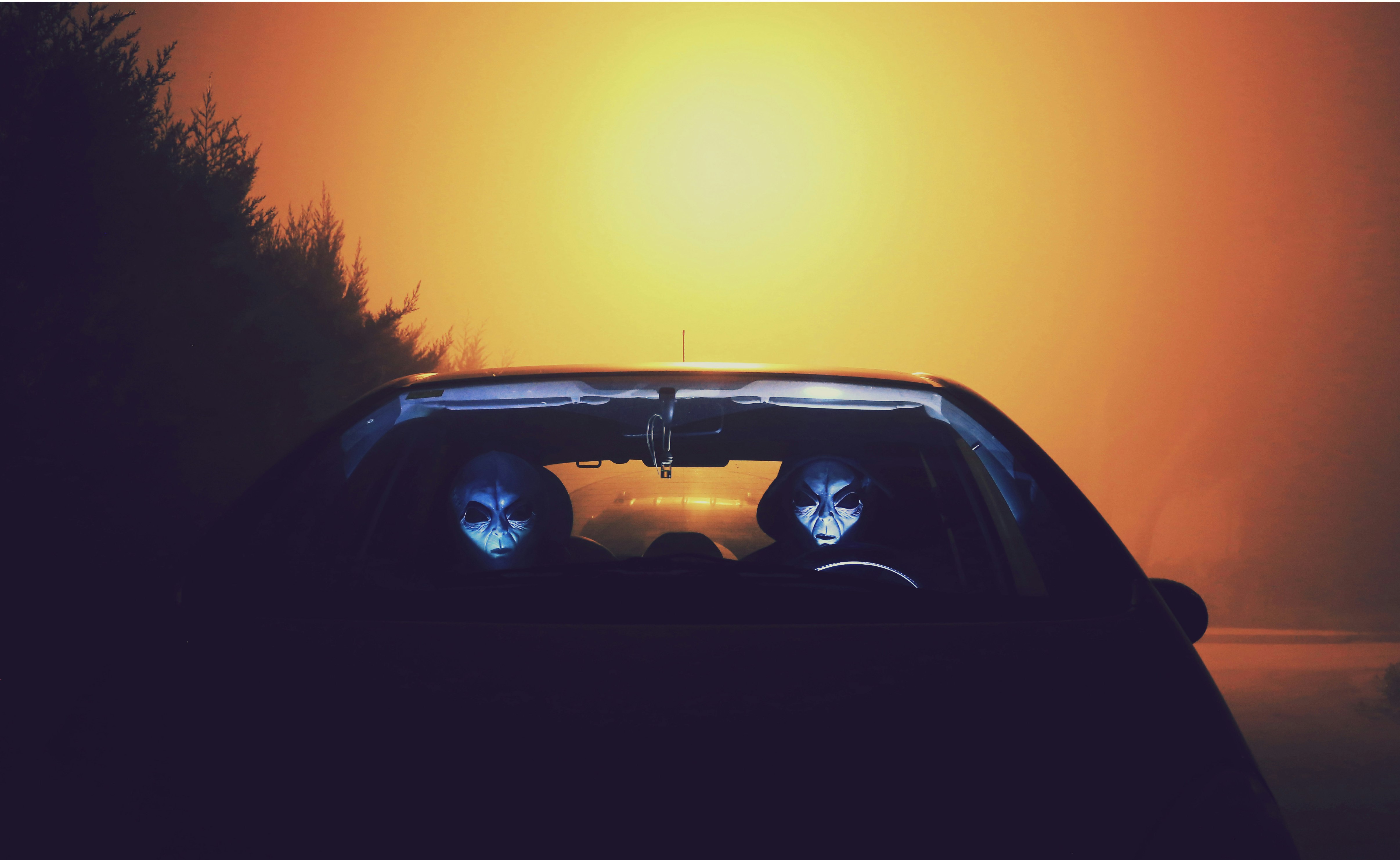Photo by <a href=