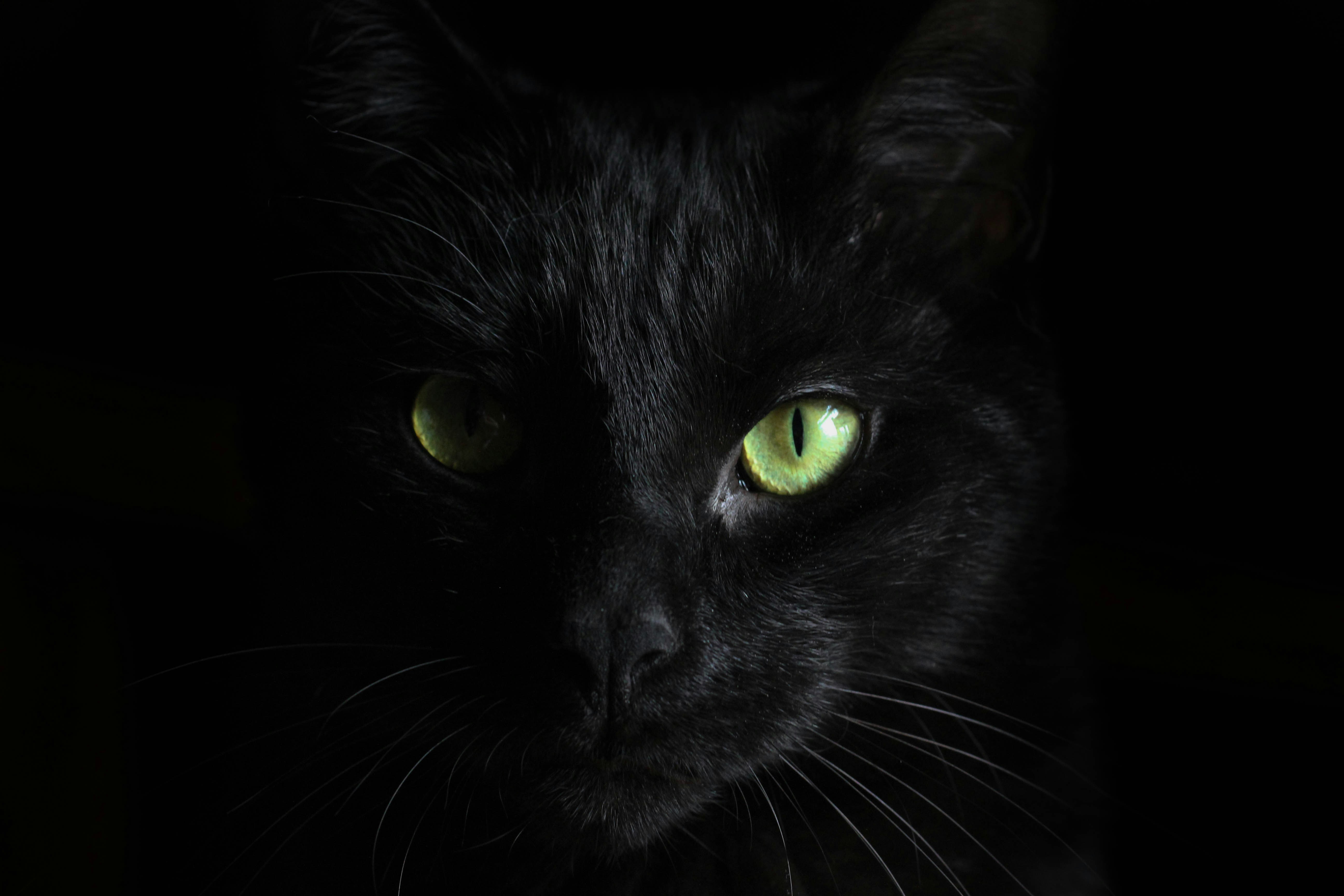 Photo by <a href=