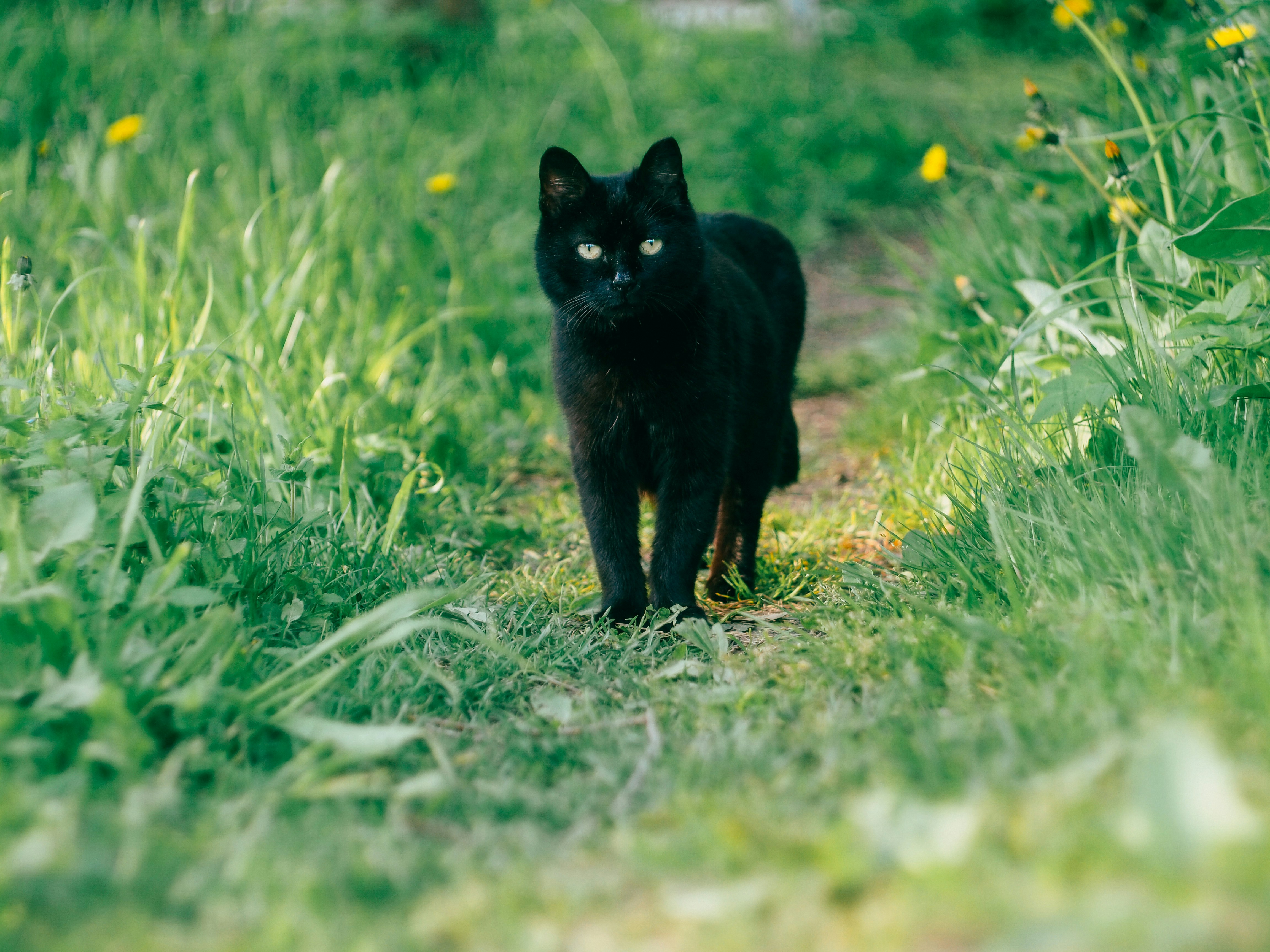 Photo by <a href=