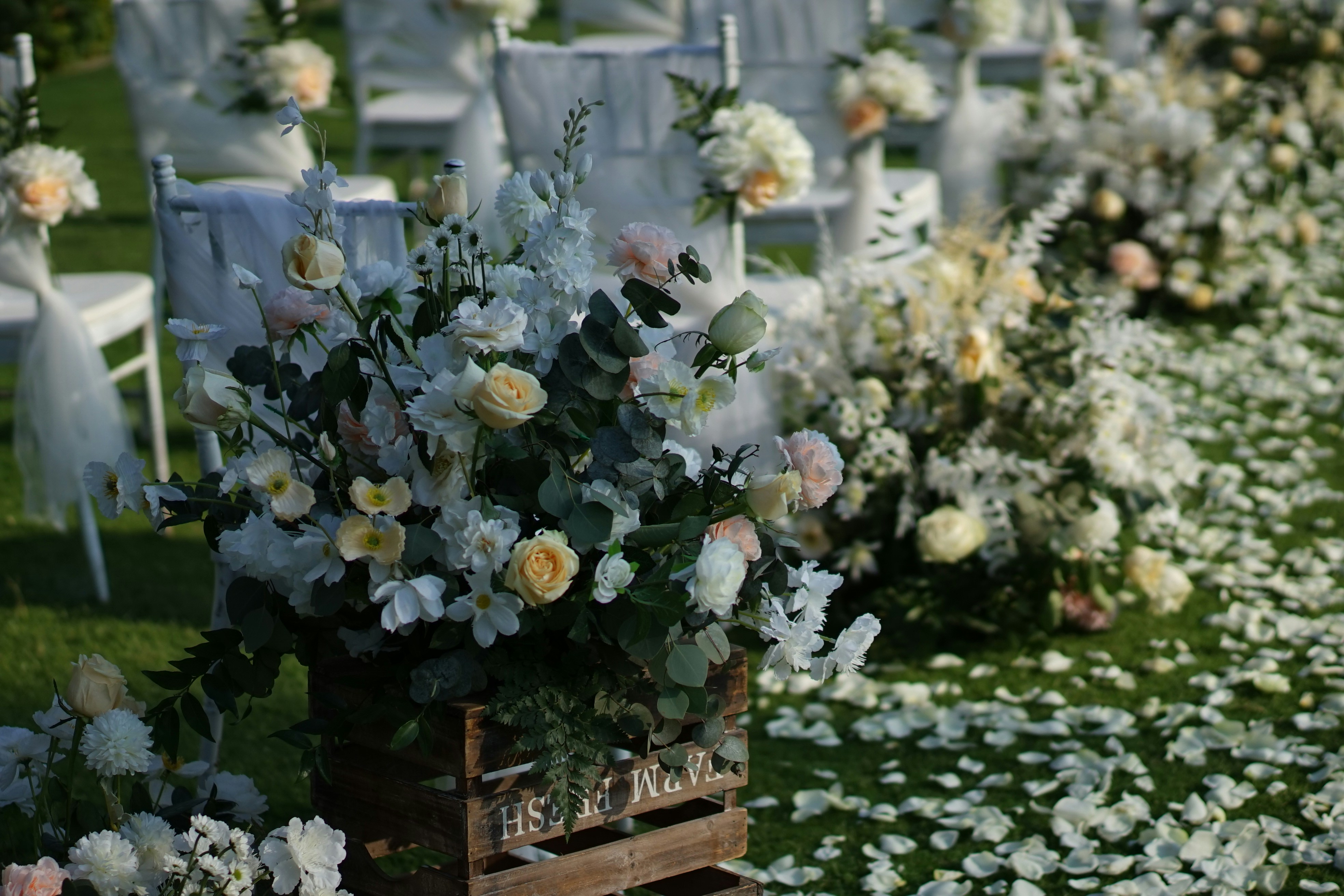 Photo by <a href=