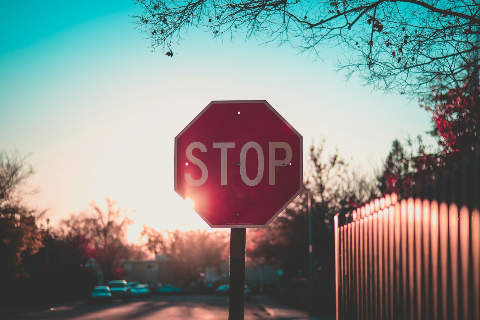 Never Give Up Day