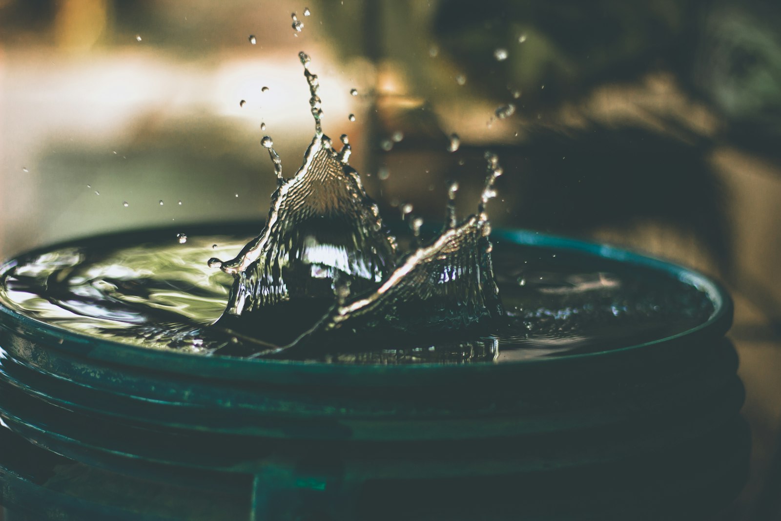 Giornata mondiale dell'acqua
