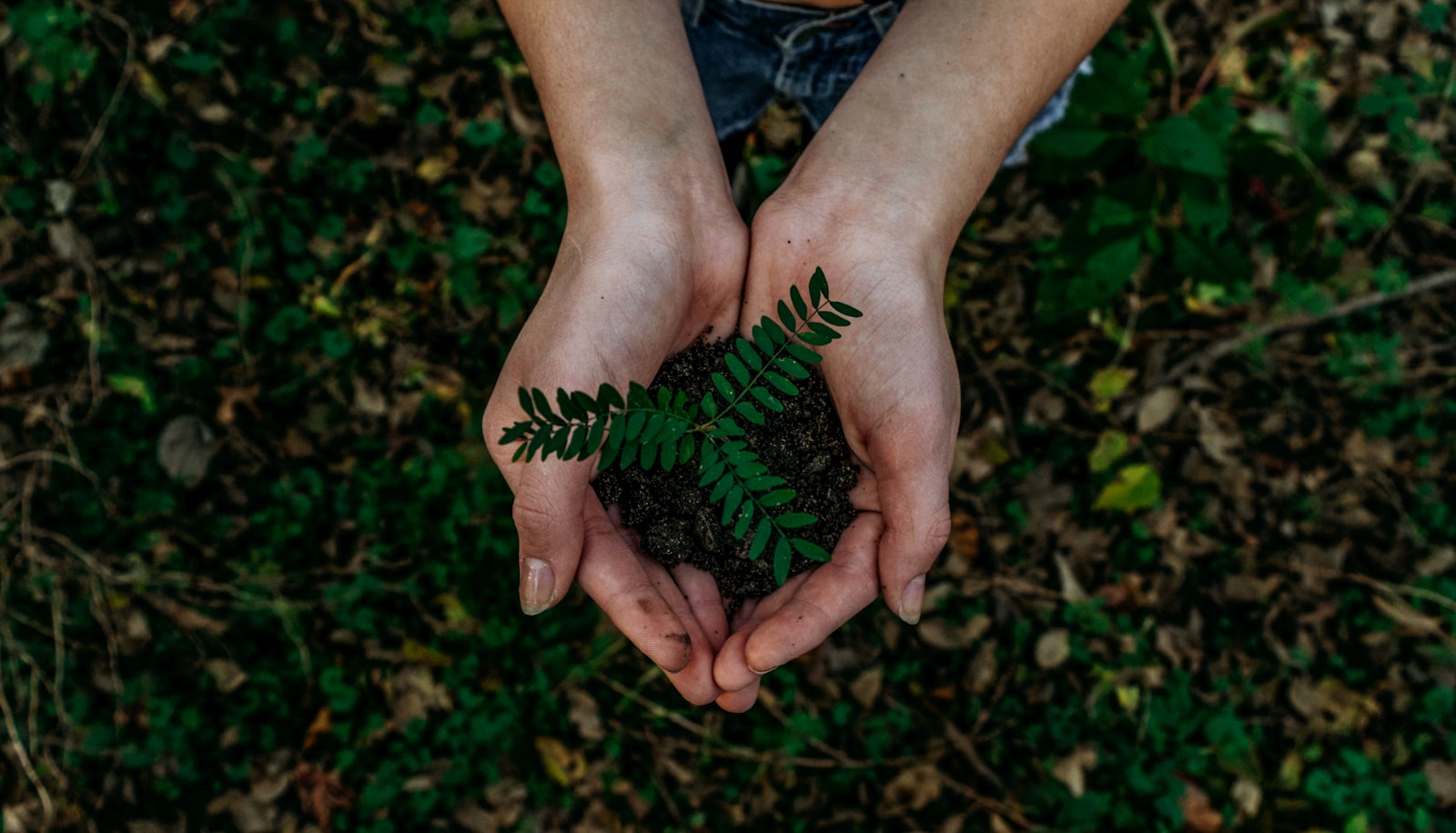 Giornata mondiale dell'ambiente